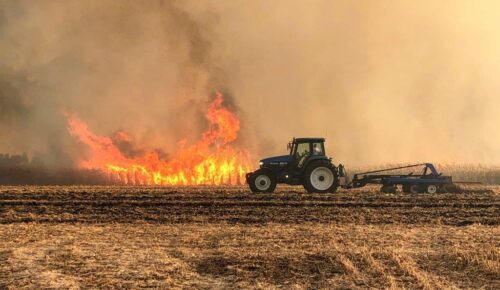 آتش سوزی در مزرعه